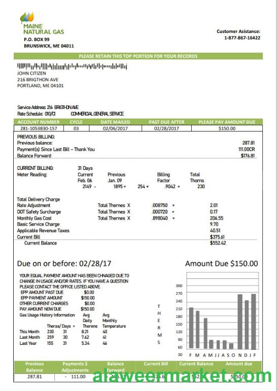 USA Marine Maine Natural Gas Portland utility bill template in Word format